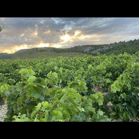 Les Plages Haute เปย์ริแอค-เดอ-แมร์ ภายนอก รูปภาพ